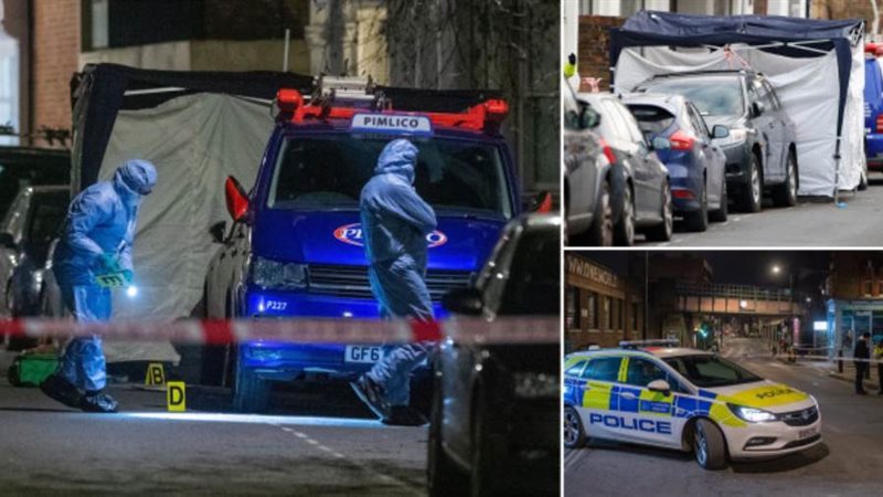 محققو الطب الشرعي