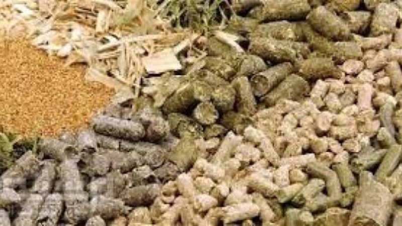 أعلاف حيوانية مجهولة