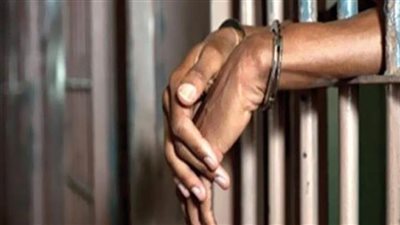 حبس 7 من أعضاء جماعة الإخوان الإرهابية 5 سنوات بالشرقية