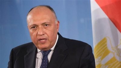 شكرى ونظيره التونسى يؤكدان ضرورة مواصلة الجهود للتوصل الى تسوية عادلة للقضية الفلسطينية