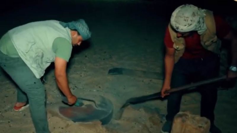 صحراء الفيوم