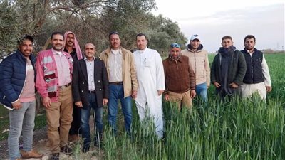 مدير آثار الإسكندرية يتفقد آثار 