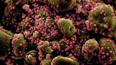 اليونان تسجل 698 إصابة جديدة بفيروس كورونا المستجد و26 وفاة 