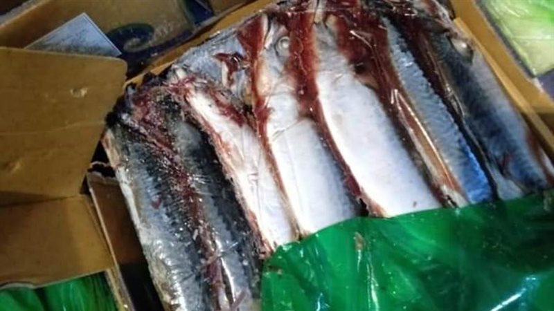 ضبط أسماك منتهية