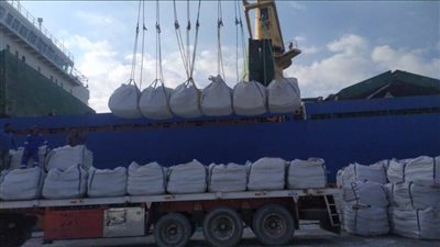  يحيى زكي:  تصدير ٥٠ ألف طن أسمنت وملح من ميناء العريش