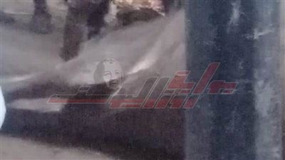 نفوق ماشية صعقًا بالكهرباء فى شبين القناطر