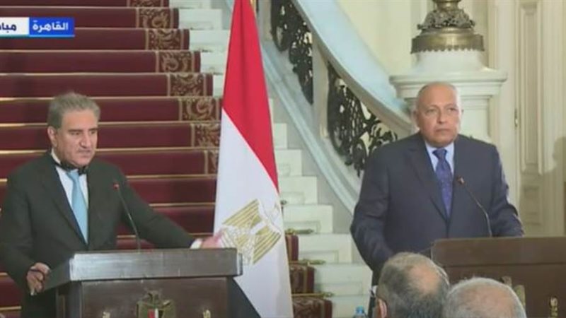 سامح شكرى خلال لقاء