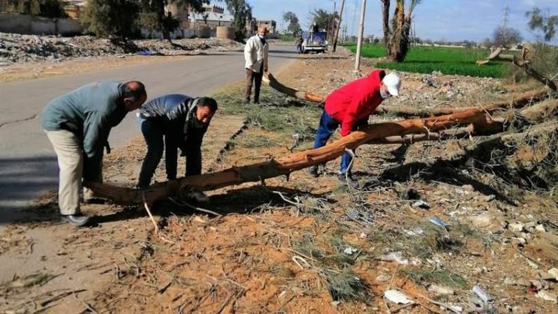 بوابة روز اليوسف