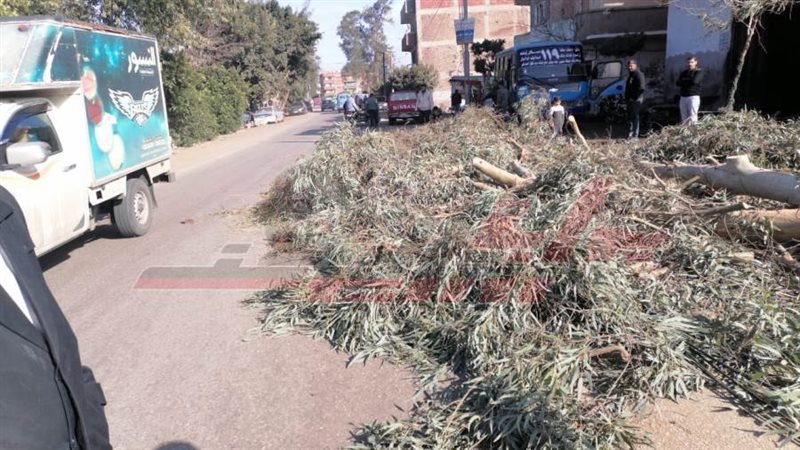 طريق طوخ/ شبين القناطر