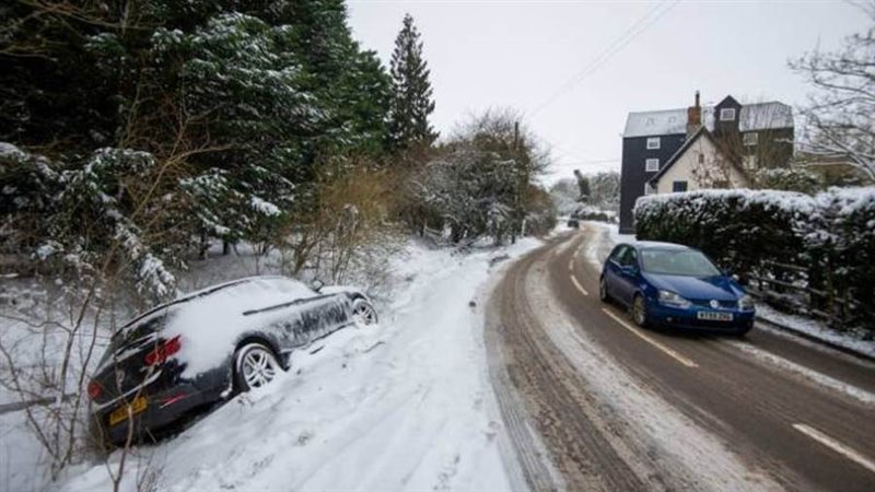 بوابة روز اليوسف