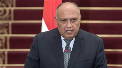 شكري يشارك في جلسة تحضيرا لمنتدى أسوان للسلام والتنمية المستدامين