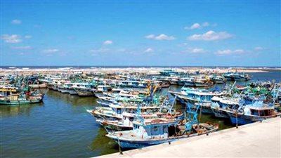 إغلاق ميناء البرلس لليوم الرابع لسوء الأحوال الجوية