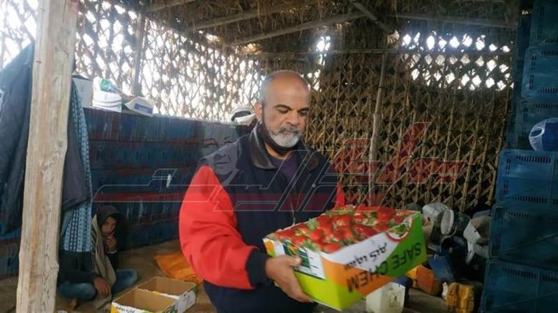 الفراولة الاسماعيلاوي