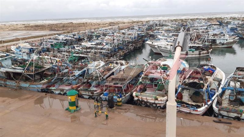 ميناء البرلس