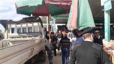 حملة مكبرة لرفع وإزالة الإشغالات واللوحات الإعلانية بالبحيرة 