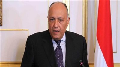 شكري يؤكد موقف مصر حول ضرورة تحقيق تقدم في مسألة نزع السلاح النووي