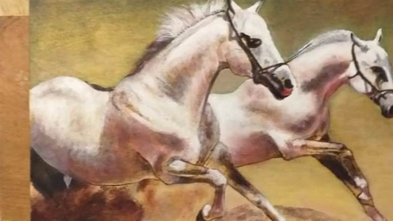 جانب من المعرض