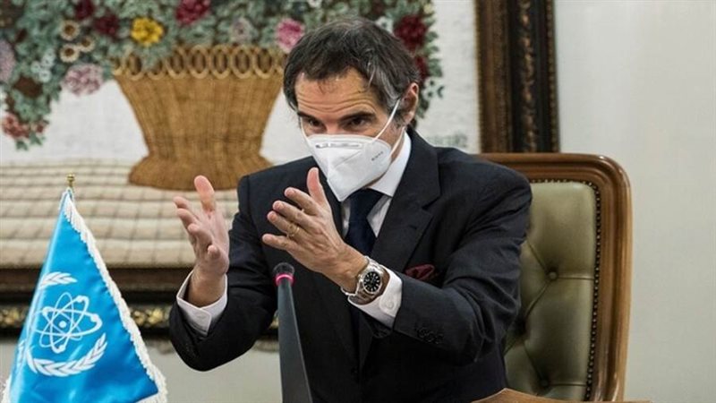 رافائيل جروسي المدير