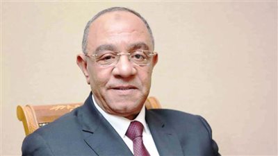 برلمانية مستقبل وطن بالجيزة: هدفنا خدمة المواطن الجيزاوي