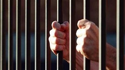 البوسنة: السجن 6 سنوات لمواطن انضم لصفوف داعش في سوريا