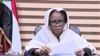 السودان يؤكد احترام المحكمة الجنائية الدولية ودورها