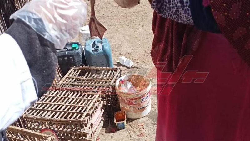 تحصين الطيور