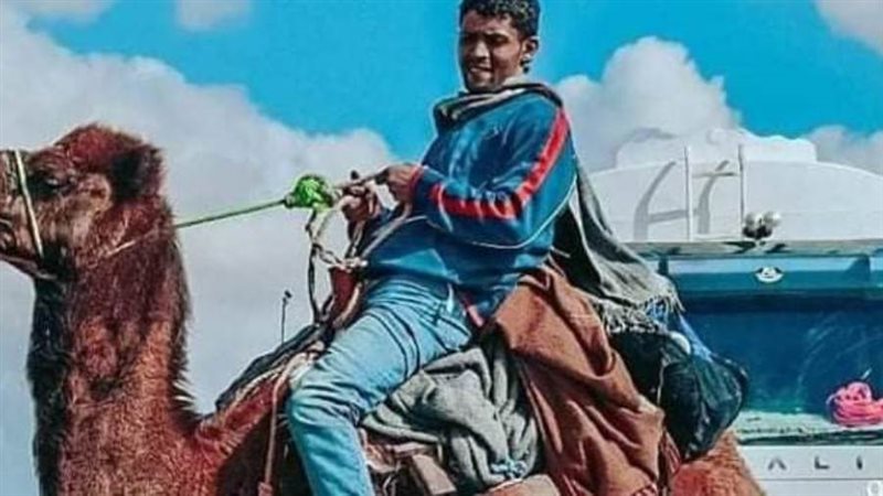 بوابة روز اليوسف