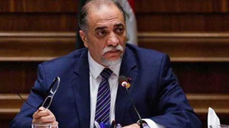 النائب الدكتور عبد