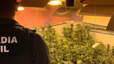 جمارك الطرود البريدية بالقاهرة تضبط أمبولات زيت الماريجوانا المخدر