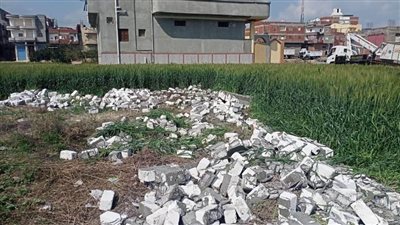 إزالة 4 حالات تعدٍ على الأراضى الزراعية بالبحيرة