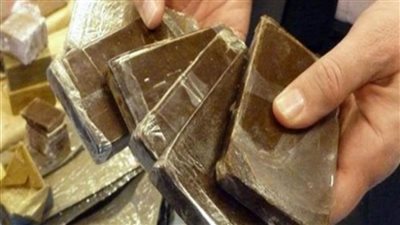 حبس عاطلين لحيازتهما 480 طربة حشيش بالإسكندرية