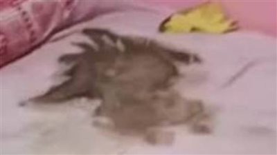 الحبس عامين للأم وعامًا للأب في واقعة وفاة 