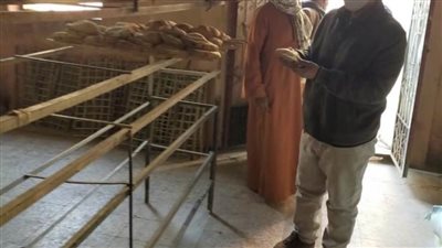 تحرير 84 محضرا خلال حملة اليوم الواحد برئاسة نائب رئيس مدينة الغنايم