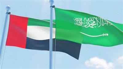 الإمارات: أي خطر يواجه السعودية يعد تهديدا لمنظومة الأمن والاستقرار لدينا