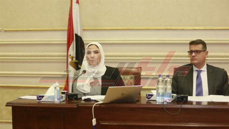 وزيرة التضامن