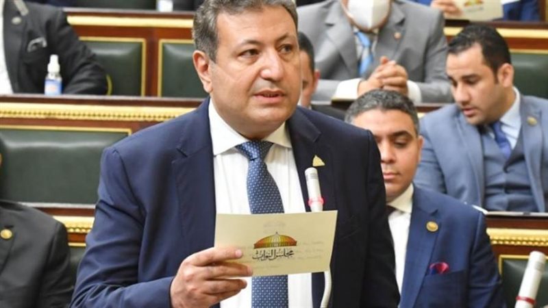 النائب طارق شكرى