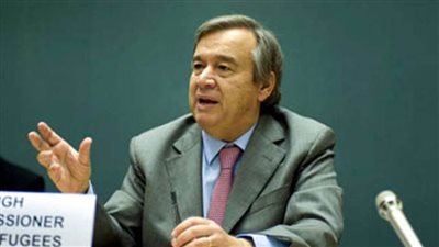 في اليوم العالمي للحياة البرية.. جوتيريش يحث العالم على حماية الغابات