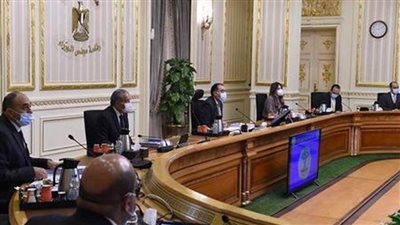 مجلس الوزراء يوافق على استمرار شركة 