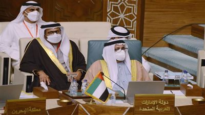 الإمارات: تزايد حجم التحديات التي تواجه المنطقة العربية يتطلب عملاً جماعيًا 