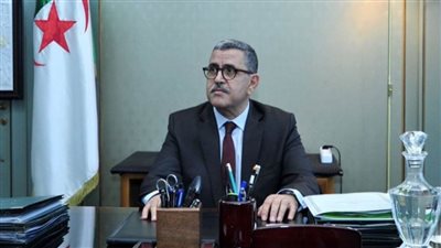 الجزائر تدرس سحب الجنسية من مواطنيها المقيمين بالخارج المتورطين في أعمال تضرها
