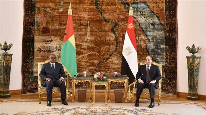 الرئيس يستقبل رئيس