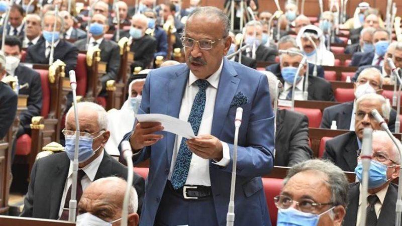 النائب هانى العسال