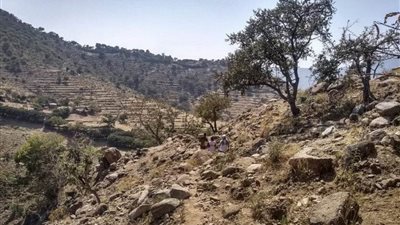 البحث عن مليون مفقود.. والأريتريون والأمهرة يحتلون تيجراي