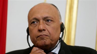 وزير الخارجية يستعرض مع سكرتير عام الأمم المتحدة التطورات الأخيرة لملف سد النهضة