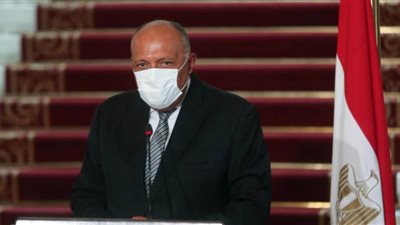 شكري: القيادة السياسية تضع دائما نصب أعينها تحديات قارة إفريقيا وشواغلها