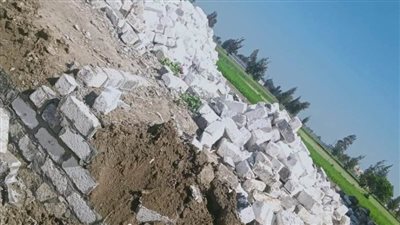 إزالة 5 حالات تعدٍ على الأراضى الزراعية بالبحيرة