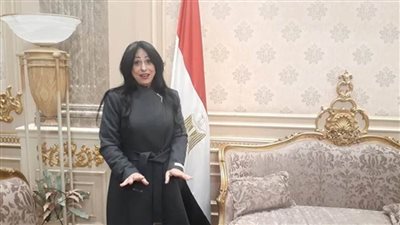 نائبة حماة الوطن: رؤية موحدة للسيسى والبرهان لتعزيز العلاقات بين البلدين