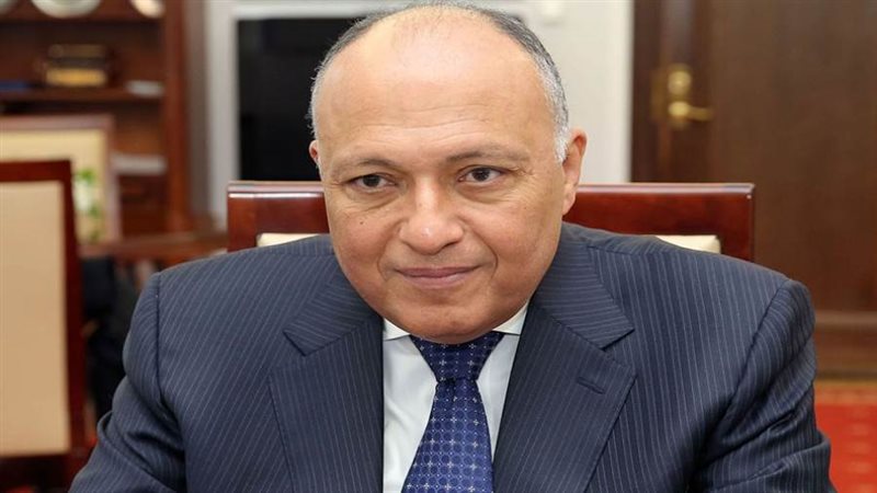 سامح شكري وزير الخارجية
