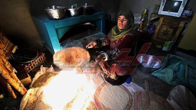  المرأة المصرية رحلة كفاح وقصة نجاح 