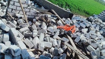 إزالة 10 حالات تعدٍ على الأراضى الزراعية بالبحيرة